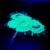 100 bolsas de 70g de polvos Holi UV Neón fluorescente
