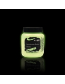 Peinture Phosphorescente 'Glow in The Dark'