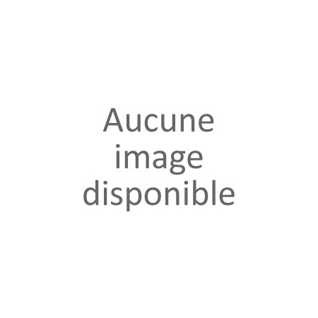 10 sachets de Poudre FLUO UV NEON